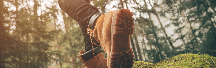 Finding Lifelong Interests and Hobbies