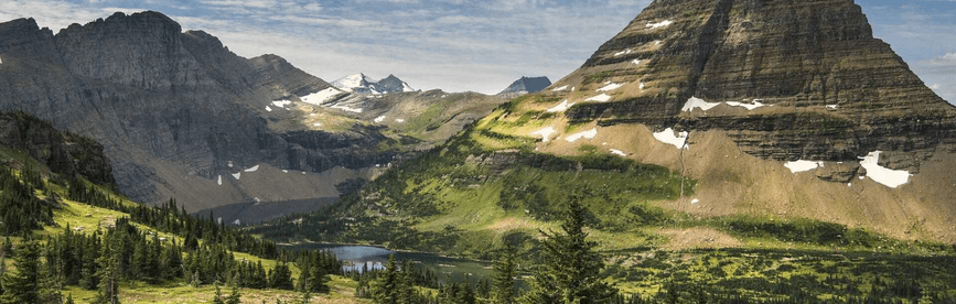 Montana CPA CPE Requirements to Renew a License
