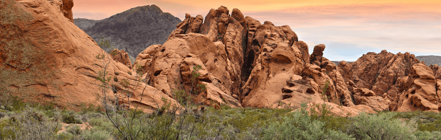 Nevada CPA CPE Requirements and License Renewal