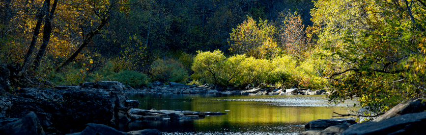 Arkansas CPA CPE Requirements to Renew a License