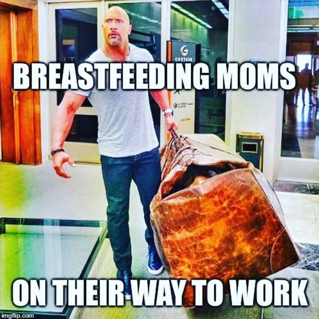 Working and Breastfeeding and Pumping Moms