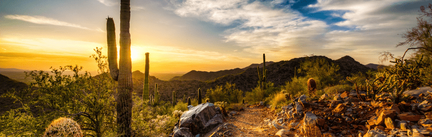 Arizona CPA CPE Requirements for Renewing a License