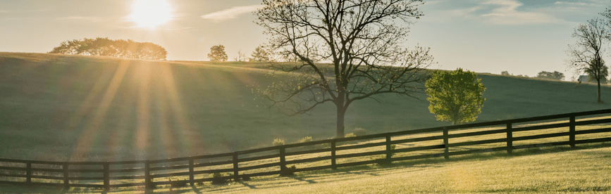 KY CPE – Kentucky State Requirements for CPAs