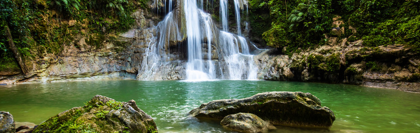 Puerto Rico CPA CPE Requirements For License Renewal